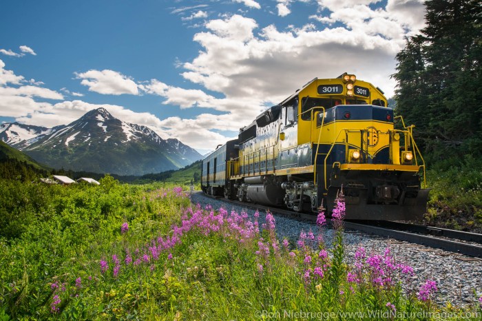 Alaska railroad