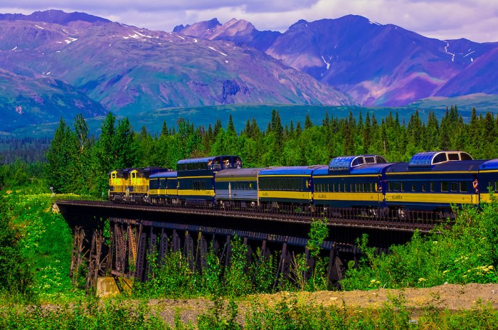 Alaska railroad denali talkeetna harrington blaine contained